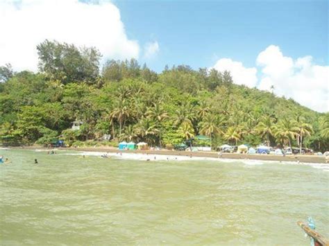 7 Best Beach Resorts In Real, Quezon, Philippines.